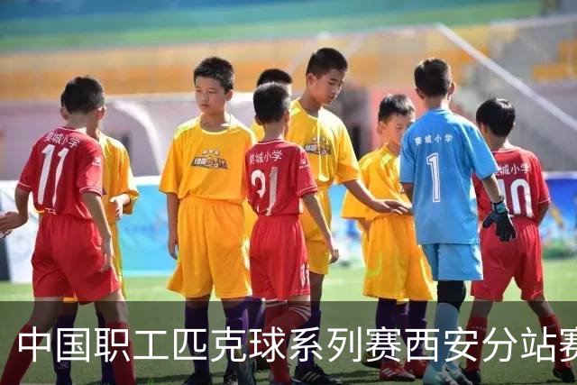 中国职工匹克球系列赛西安分站赛将启 四百余名选手争夺总决赛门票