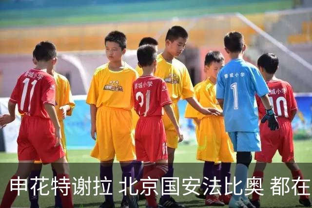 申花特谢拉 北京国安法比奥 都在7月迎来代表中超俱乐部百场里程碑