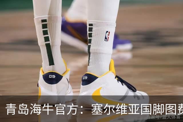 青岛海牛官方：塞尔维亚国脚图费格季奇加盟球队